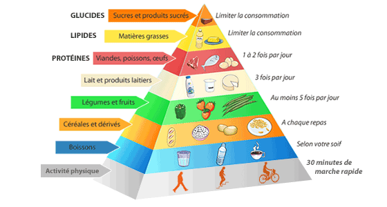 5 aliments de la pyramide pour vous aider à  mincir : regardez !